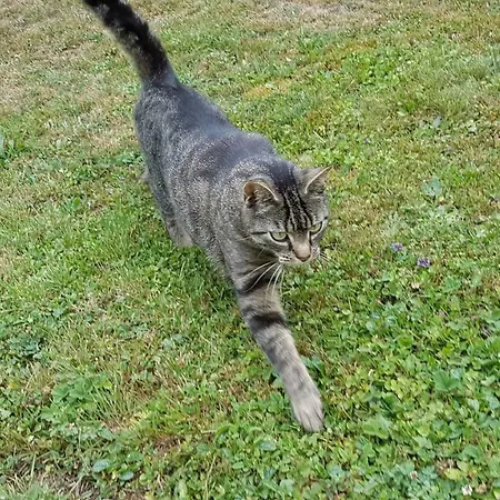 Apartament Brillant Am Nationalpark Hunsrueck-hochwald Hettenrodt