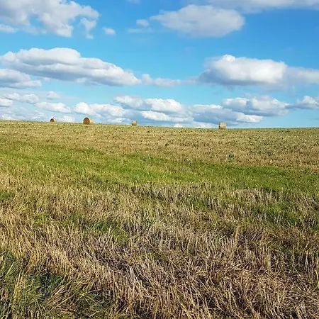 Daire Brillant Am Nationalpark Hunsrueck-hochwald *