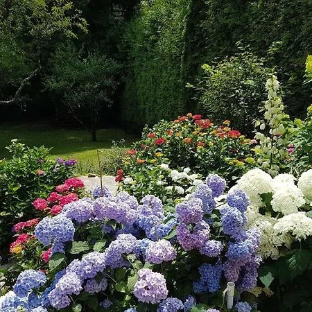 Brillant Am Nationalpark Hunsrueck-hochwald Apartament *