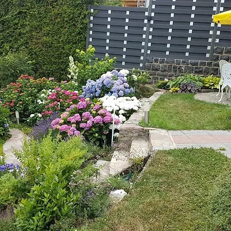 Brillant Am Nationalpark Hunsrück-hochwald Apartamento *