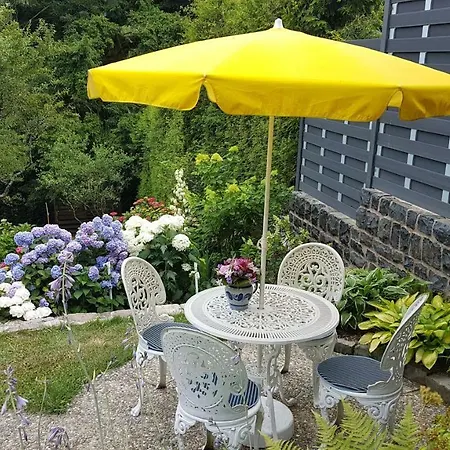 Brillant Am Nationalpark Hunsrueck-hochwald