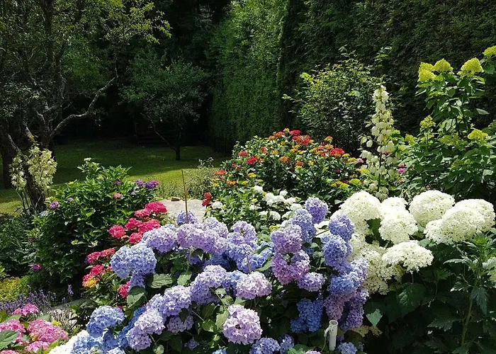 Brillant Am Nationalpark Hunsrück-hochwald Apartamento *