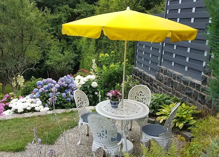 Brillant Am Nationalpark Hunsrück-hochwald